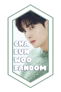 banner11chaeunwoofandom