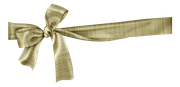 TWFlowerbee-Ribbonbow3