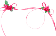 Ribbon-amp-Roses