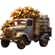 Golden-Xelement44