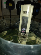 Hatching-Brine-Shrimp-at-18-C