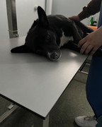 B53C53AD-3B50-4FF0-8BC0-E00F794F1CB6