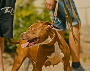 Screenshot_20230710_170215_Gallery