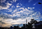 light-(18)