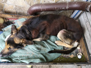 WhatsApp Image 2021-02-17 at 14.32.35 (2)