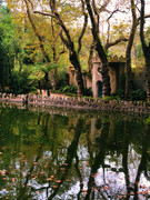 9ACE712F-FC85-419C-8B8A-FD8C7B4B816F