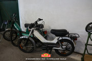 IMG-5528