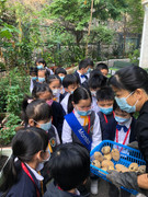 photo-littlefarmer2122-018