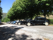 IMG-7800.jpg