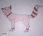 134100368_886169035528243_5054