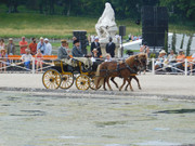 DSCN7418.jpg