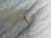IMG-20260619-220532-889