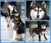 Be-Funky-collage-15.jpg&key=dc55554688db