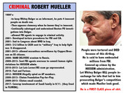 CriminalMueller copy