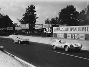 24 HEURES DU MANS YEAR BY YEAR PART ONE 1923-1969 - Page 36 55lm10-Jag-DType-J-Claes-J-Swaters-1