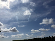 IMG-2828.jpg