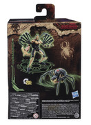 TF-Kingdom-Official-Pics-021