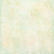 JH-COI-Paper08