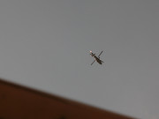 Teknival 2014 Schkorpilovzi (119)