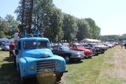 IMG-4646.jpg