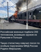https://i.postimg.cc/bdWh6gfP/photo-2026-07-21-02-12-01.jpg