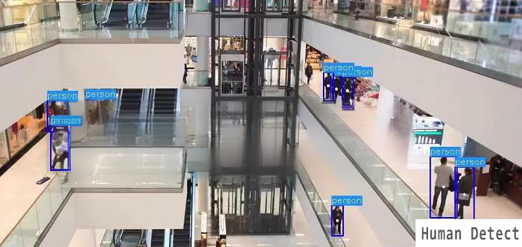 Humanoid Detection