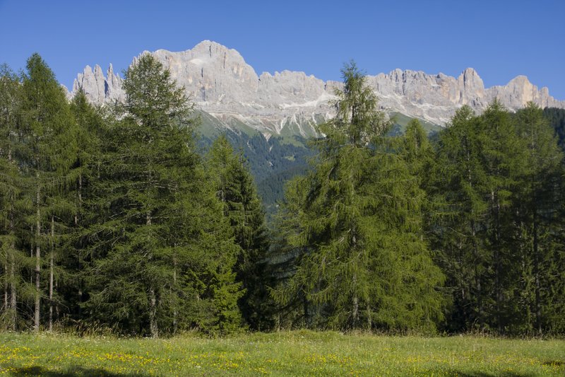 https://i.postimg.cc/bdXFMf01/035-IMG-1557.jpg