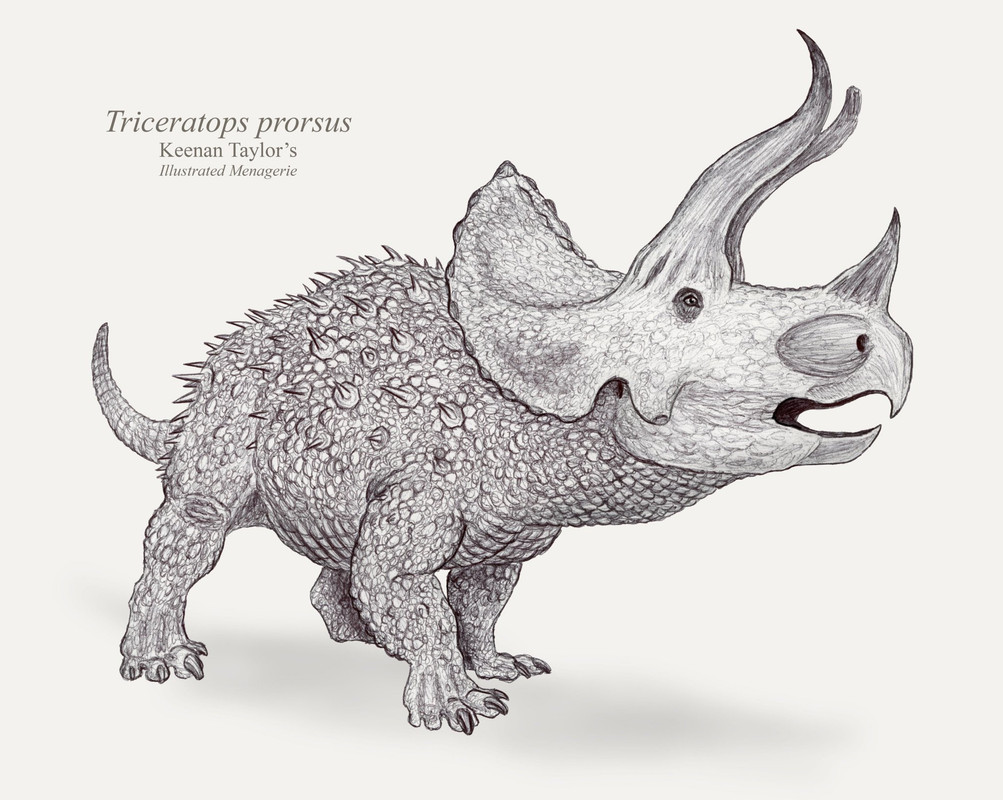 1636516025_32-papik-pro-p-milii-tritseratops-risunok-34