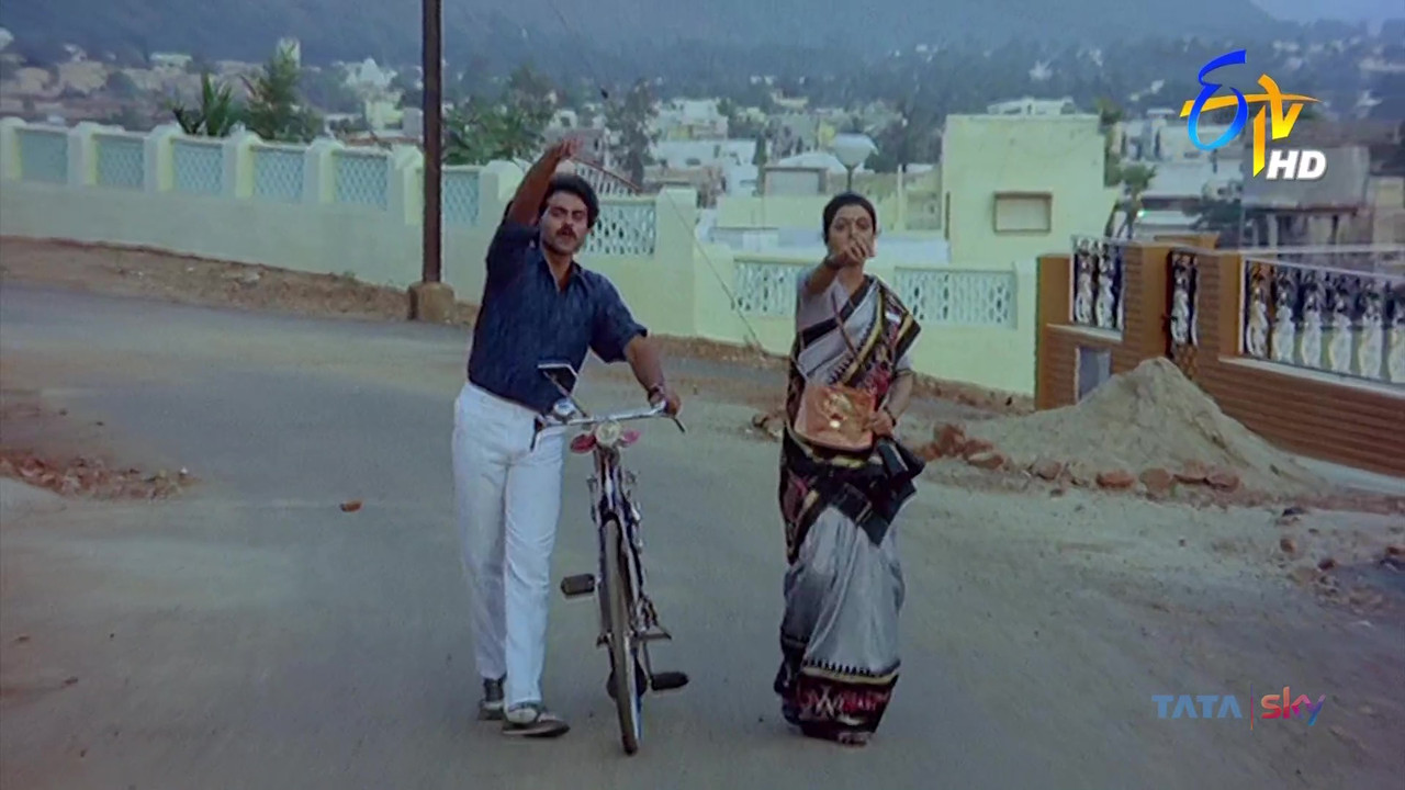 vlcsnap-2021-04-22-15h22m59s304