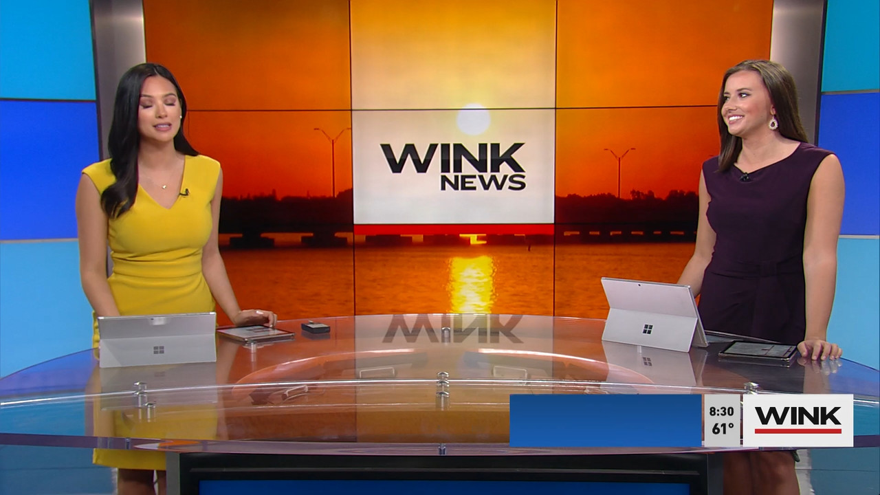 03.20 - 11.00.00 - WINK News at 7 00 a.m. Saturday._001.ts_snapshot_00.44.024