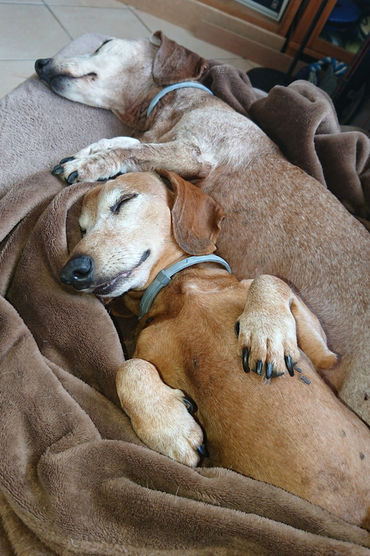 [Image: DSC-1686.jpg]