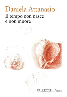 Daniela Attanasio - Il tempo non nasce e non muore (2026)