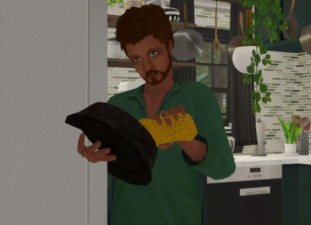 Sims2-EP9-RPC-2024-01-11-17-14-41-49