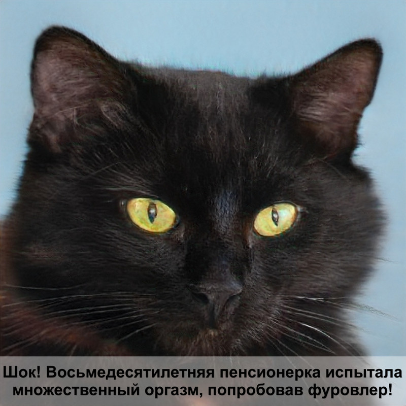 ориентальная кошка тигрового окраса