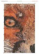 2882121-crosti-ru-color-26