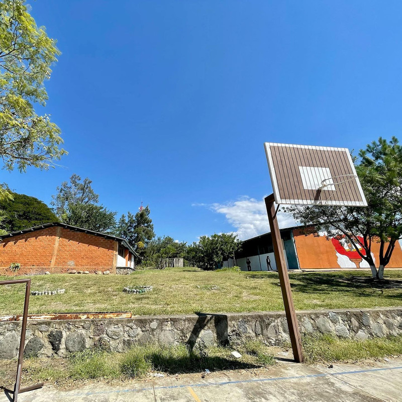 Tequila de Kendall Jenner donará ganancias a construir una biblioteca en Jalisco