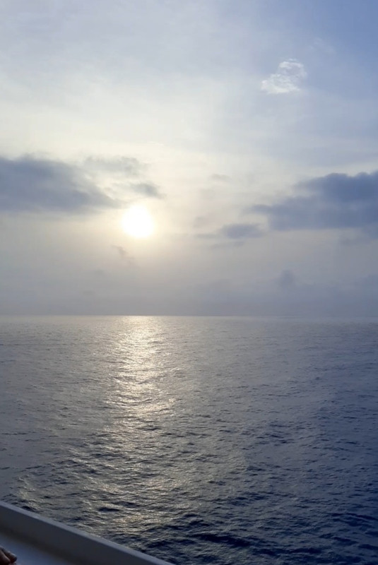 Screenshot_20240613-231232_Gallery