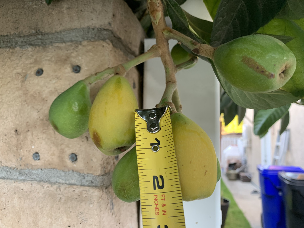 A7A4BDC0-1C68-4A27-AA1E-B3586742AE65