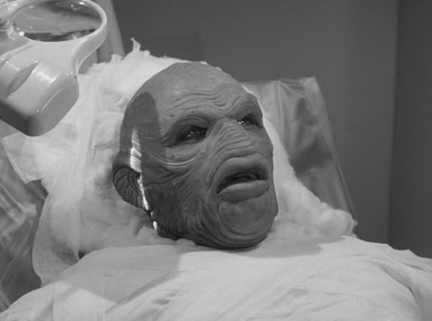 AMONG US REFERENCE (08)