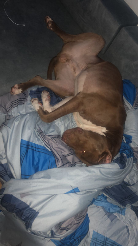 05371D06-4710-4AE6-8509-7E30942145CB