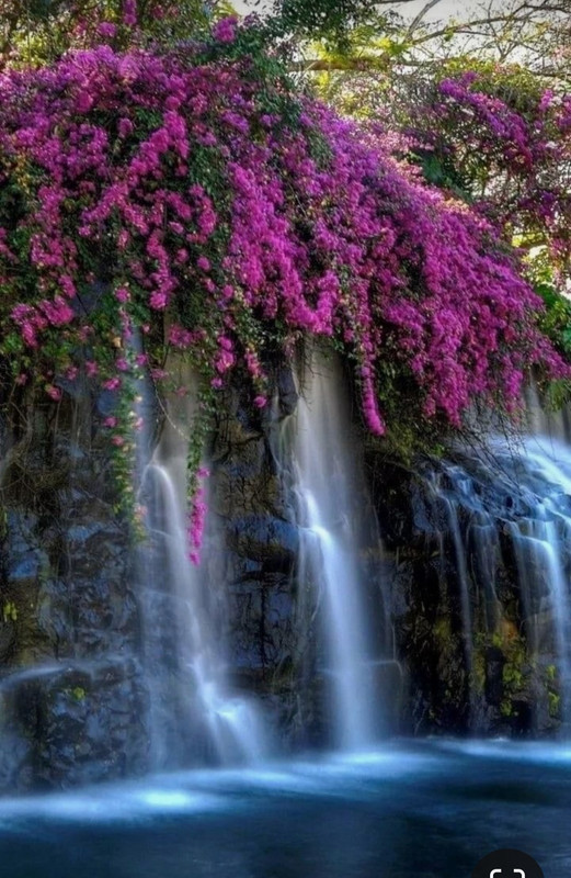 Screenshot_20240512_184457_Pinterest