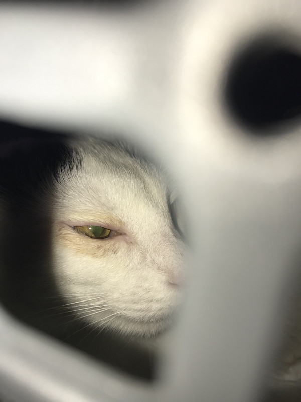 CEA55A60-C989-472C-BA81-908D75505339