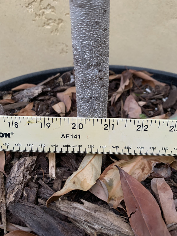 84E625C5-4C3E-41AE-9FEA-48EF23BBD586