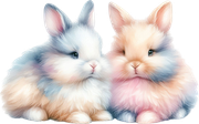 tk-Bunny-Kisses-bunnies2