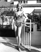 anne-francis-d22