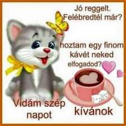 https://i.postimg.cc/bdj5kpJW/received-557542835510237.jpg