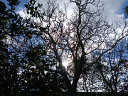 IMG20250108005613