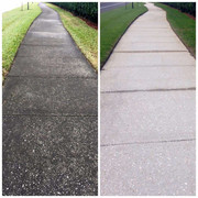 Top Roof Cleaning FL