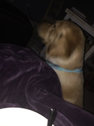 image_2023-02-02_230256267