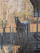 PXL_20250202_213029926